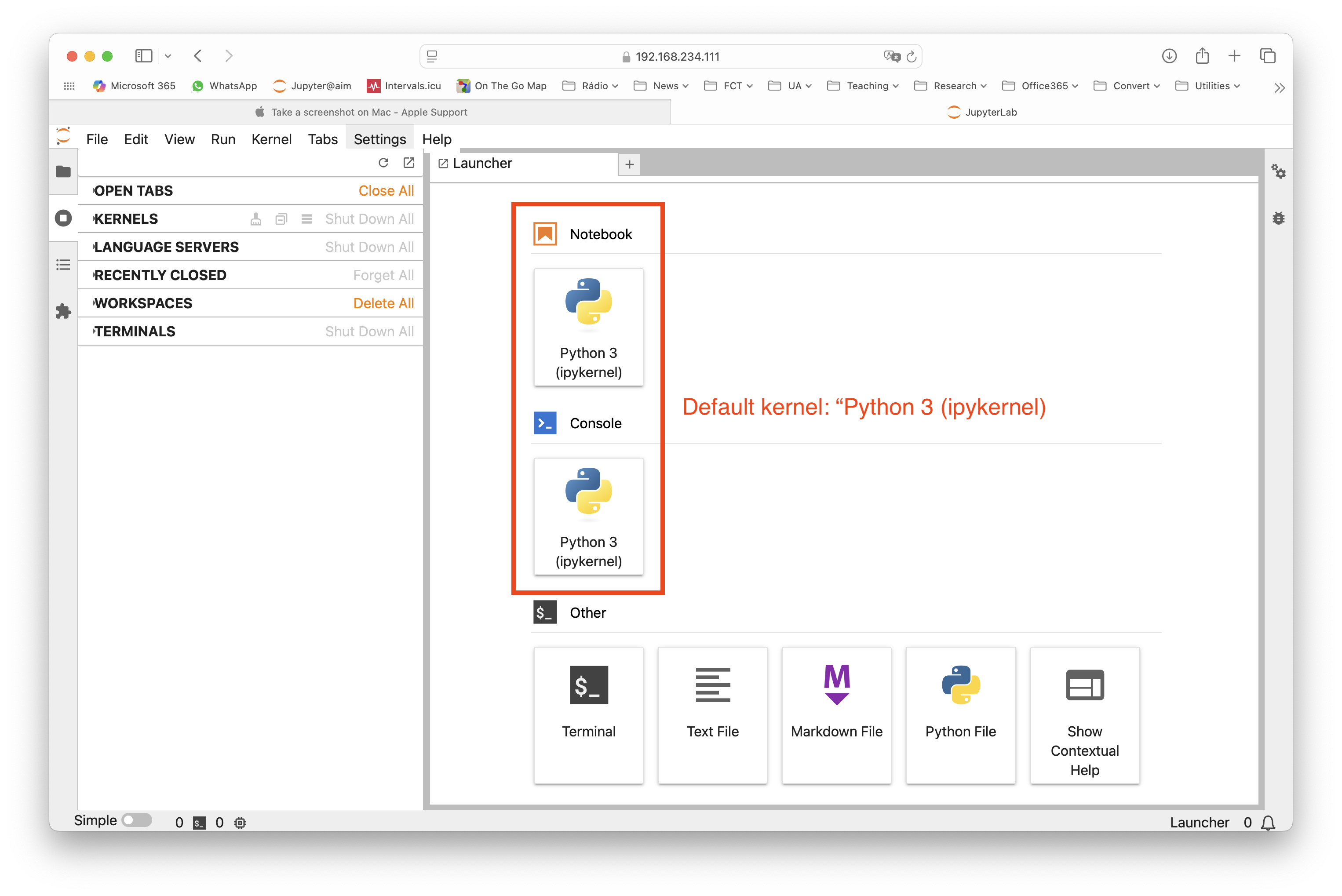 JupyterLab Launch Page